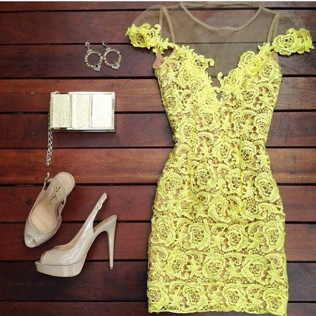 Lace Embroidery Dress